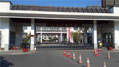 灭跳蚤案例